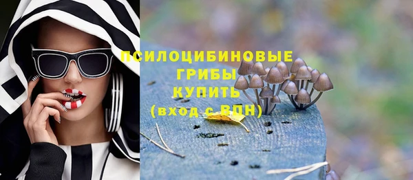 прущий лед Армянск