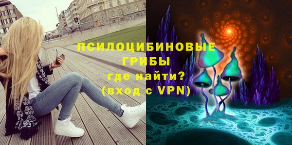 сатива Арсеньев