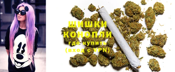 сатива Арсеньев