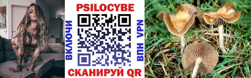 Галлюциногенные грибы GOLDEN TEACHER Струнино