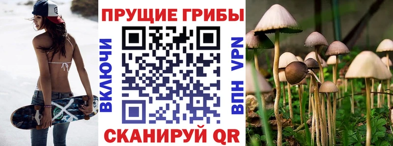 Купить где  Струнино  Галлюциногенные грибы ЛСД 